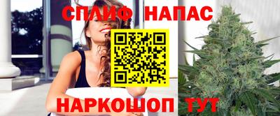 СК Ростов-на-Дону