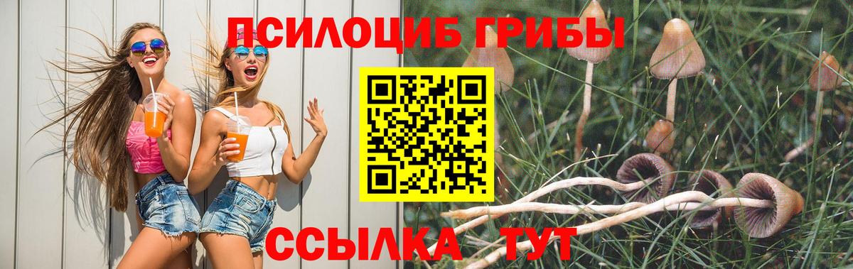 Галлюциногенные грибы GOLDEN TEACHER  Вход с VPN  Галлюциногенные грибы Psilocybe  наркота  Анжеро-Судженск 